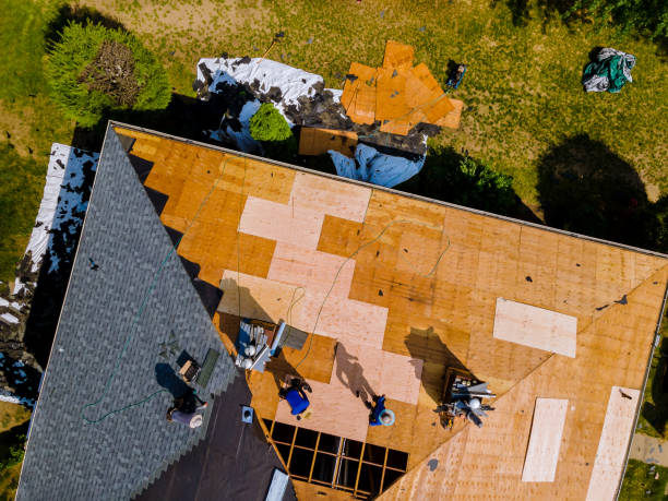 Best Commercial Roofing Services  in Holton, KS