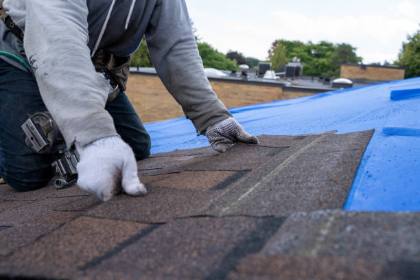 Best Slate Roofing Contractor  in Holton, KS