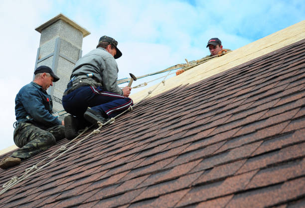 Best New Roof Installation  in Holton, KS